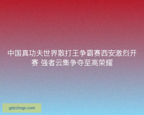 中国真功夫世界散打王争霸赛西安激烈开赛 强者云集争夺至高荣耀